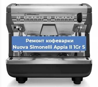 Чистка кофемашины Nuova Simonelli Appia II 1Gr S от накипи в Москве